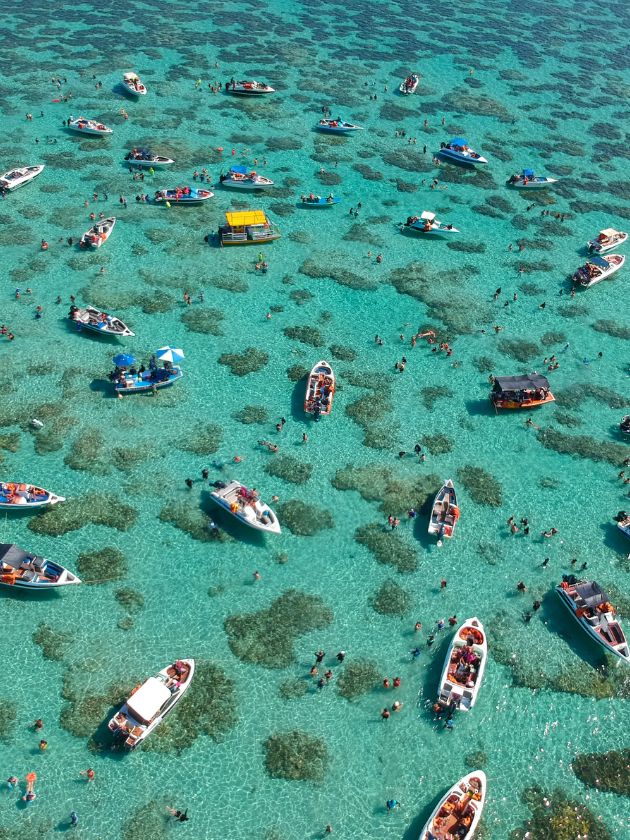 parrachos de perobas
